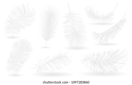 Realistic Fluffy feathers. Falling twirled plumage of white bird on transparent background for banners, flyers, web, poster, card. down pillow for sleeping. use for down pillow for sleeping