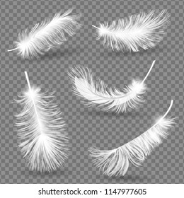 Realistic Fluffy feathers. Falling twirled plumage of white bird on blue background for banners, flyers, web, poster, card. down pillow for sleeping. use for down pillow for sleeping