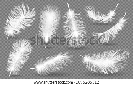 Realistic Fluffy feathers. Falling twirled plumage of white bird on transparent background for banners, flyers, web, poster, card. down pillow for sleeping. use for down pillow for sleeping