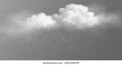Realistic fluffy rain cloud with falling raindrops and misty cloudy texture on a transparent background. The weather scene for stormy conditions, climate graphics, or seasonal backgrounds. Vector.