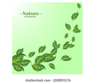 Realistic Fly Green Leaves Pattern Background. realistic fly move green leaves background card on a white decorative organic element creative botany concept.