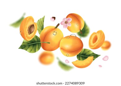 Realistic flying apricot composition with whole and cut fruits floating in air with flowers water drops vector illustration