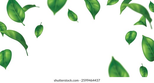Realistic flying green leaves frame - fresh foliage border with detailed single leaf shapes, edges and veins. Natural spring or summer decorative elements for eco friendly design or greeting cards.