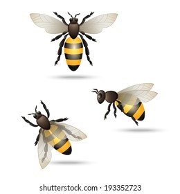 Realistic flying honey bees set isolated on white background vector illustration