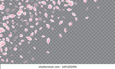 Realistic Flying Petals For Banner Design. Colorful Flying Petals. Great Design For Any Purposes. Magenta on Transparent.