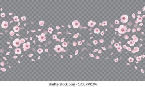 Realistic Flying Petals For Banner Design. Flying Petals In Realistic Style. Spring Flowers Blooming. Rose on Transparent.
