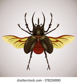 Realistic flying rhino beetle. Insect  wings horns antennae legs. Colorful research collection. Collecting. Educational illustration. Zoology biology species
