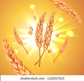 Realistic flying wheat grains, oats or barley isolated on a yellow sun background. Natural ingredient element. Healthy food or agriculture, bread, beer or crop theme. Vector 3d illustration.