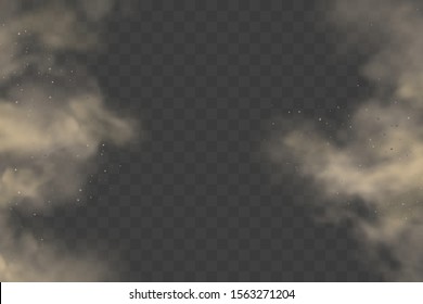 Realistic fog or white smoke on transparent background, spooky fog or magic mist, weather cloud or light dust, gray gas or steam effect, incense or exhaust, fume or air pollution. Sky backdrop