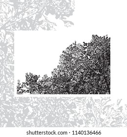 Realistic foliage of tree isolated on white background. Abstract vector monochrome graphics illustration of branches with leaves.