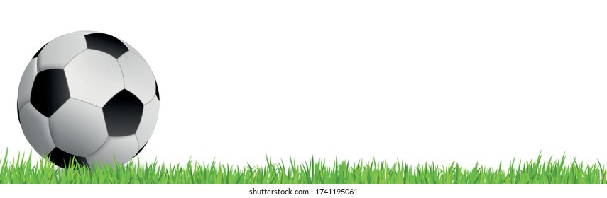 Realistic football ball  and a green lawn - panorama