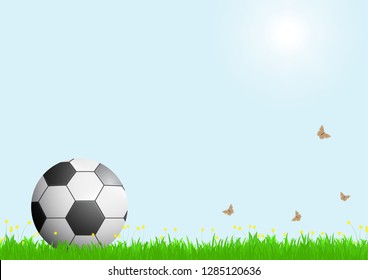 Realistic football on green grass with sunlight on blue sky background, vector illustration