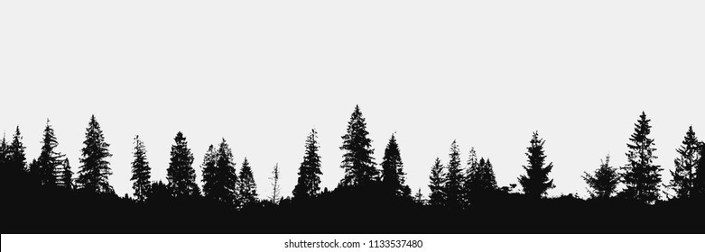 realistic forest silhouette on white background.View to panorama of trees.Vector nature design