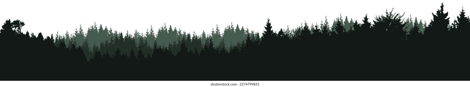 Realistic forest vector illustration wide panorama landscape - Green silhouette of fir and spruce woods trees, isolated on white background long