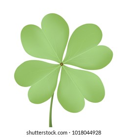 Realistic four-leafed clover on a white background. Vector illustration