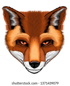 realistic fox head illustration