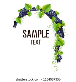 A realistic frame with black grapes. Invitation template or card. Vector illustration.
