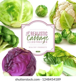 Realistic frame with different kinds of fresh cabbage on white background vector illustration