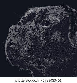 realistic with frame dog vector sketch with illustration eps