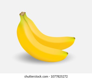 Realistic fresh banana. Bunches of bananas isolated on white background. Vector illustration