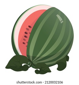 Realistic fresh big watermelon isolated on white background - Vector illustration
