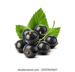 Realistic fresh black currant with glossy skin, tiny brown stems, and vibrant green leaves. 3d vector juicy and appetizing bunch of berries appear plump and ripe, reflecting light for a natural sheen