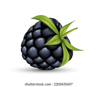 Realistic fresh blackberry with green leaves. Ripe berries, juicy sweet cooking ingredient. 3d healthy natural food, organic agriculture element. Vector illustration