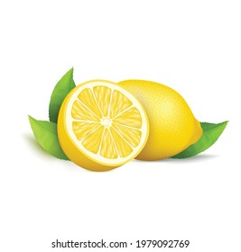 Realistic fresh cut lemon isolated vector illustration