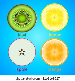 Realistic fresh fruit cut into slices. Apple, Kiwi, Orange, Lemon. Vector Illustration