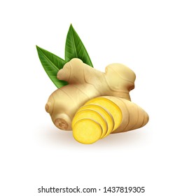 Realistic Fresh Ginger Root On White Background. Vector