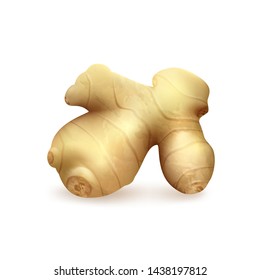 Realistic fresh ginger root on white background.