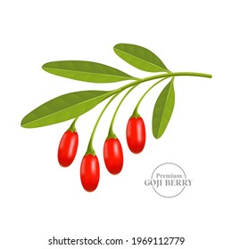 Realistic fresh goji berry vector illustration.