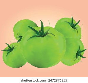 Realistic Fresh Green Tomato Vector Design Illustration with Green Stems