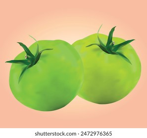 Ilustración de diseño de Vector de tomate verde fresco realista con Subgrupos verdes