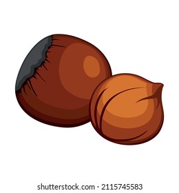 Realistic fresh hazelnut nuts white background - Vector illustration