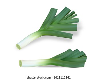 Realistic Fresh Leek High Quality Vector Illustration EPS10