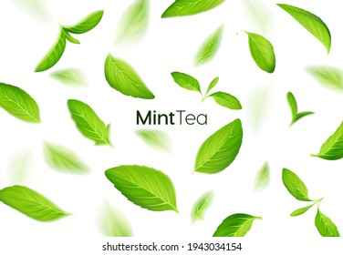 Realistic fresh mint tea green leaves on white background, tea and herb