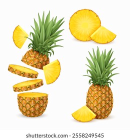 Realistic fresh pineapples. Set of whole, slice, piece of pineapple isolated on transparent background.