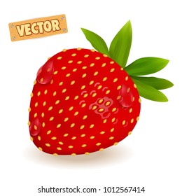 Realistic fresh strawberry with leaves. Isolated on white background. Vector illustration.