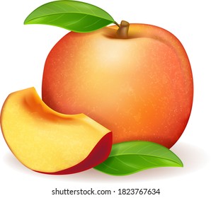 Realistic fresh sweet ripe peach, whole with leaf and slice isolated on white. Vector illustration 
