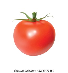 Realistic fresh tomato against white background vector illustration