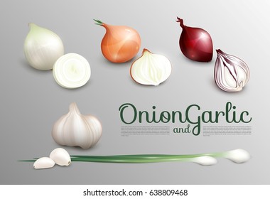 Realistic fresh vegetables set with white red spring onion and garlic on gray background isolated vector illustration