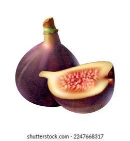 Realistic fresh whole and cut fig on white background vector illustration