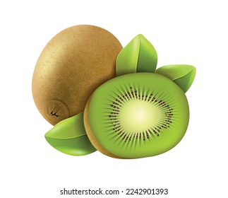 Realistic fresh whole and cut kiwi with green leaves vector illustration