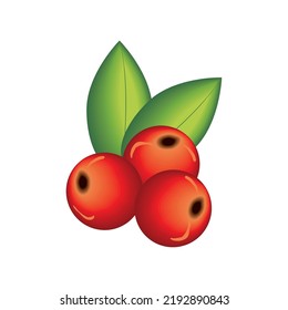 icono aislado de cerezo de fruta realista