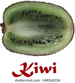 Realistic fruit of kiwi in the cut. For sites about healthy food, cooking, about fruit, gardening. White background. Vector illustration.