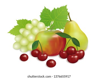 Realistic fruit on a white background. Fresh ripe juicy fruit . Realistic vector illustration. Bunch of Grapes, Apple, Pear, Cherry with leaves. Still-life of fruits and berries.