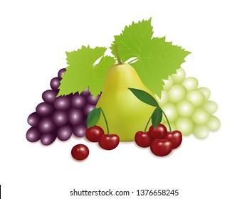Realistic fruit on a white background. Fresh ripe juicy fruit . Realistic vector illustration. Bunch of Grapes, Pear, Cherry with leaves. Still-life of fruits and berries.