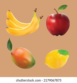 realistic fruit set collections vector