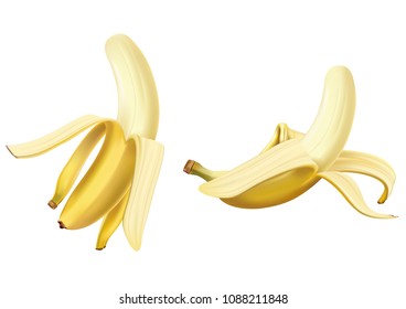 Realistic fruit vector illustration of half peeled ripe yellow bananas isolated on white background. 3D model illustration, copy and logo space for design.
